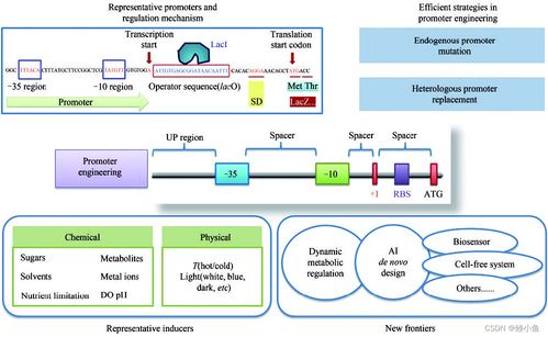 傳統行業與人工智能融合 材料、化學、物理、生物的發展與未來展望